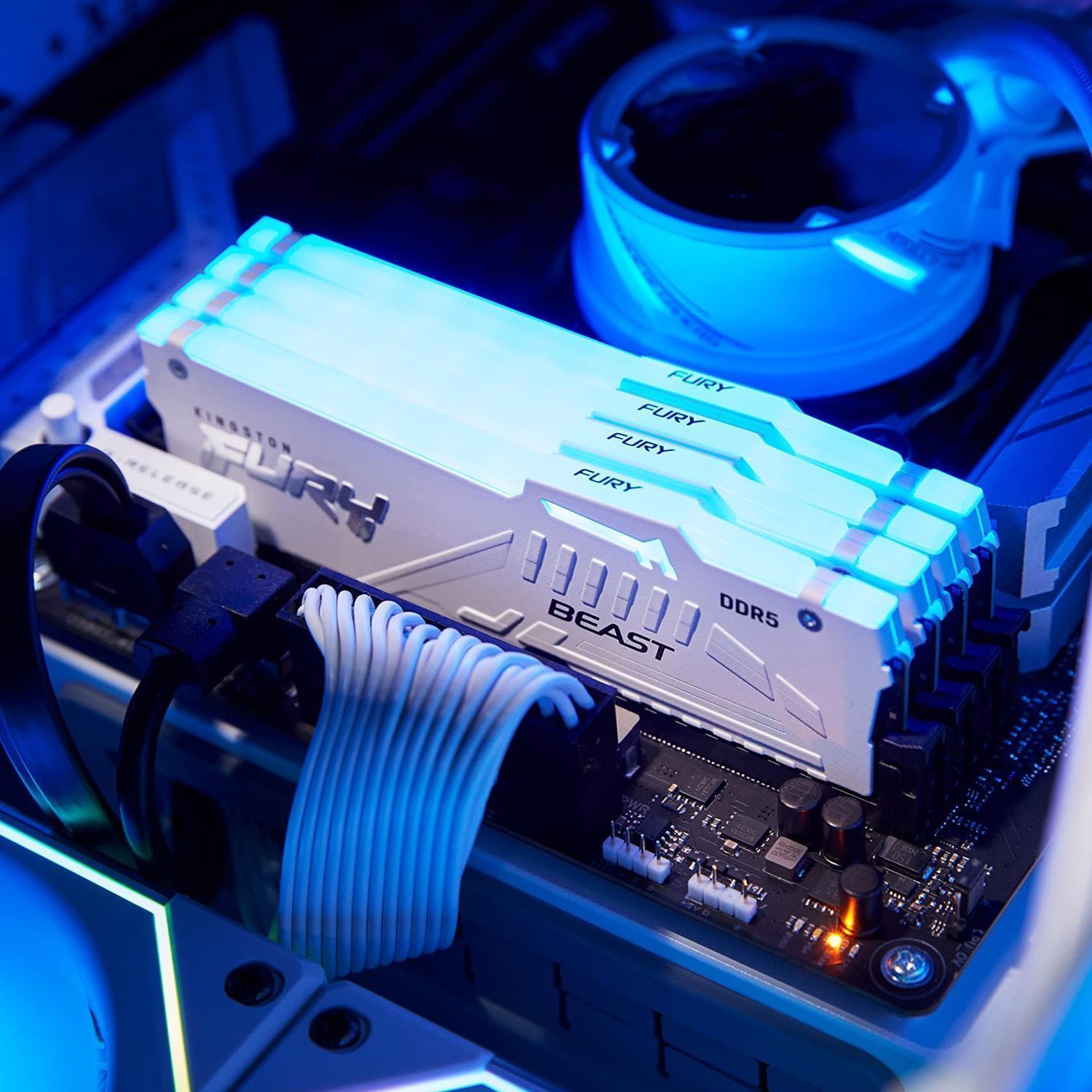 Память оперативная Kingston FURY Beast KF560C30BWEA-16