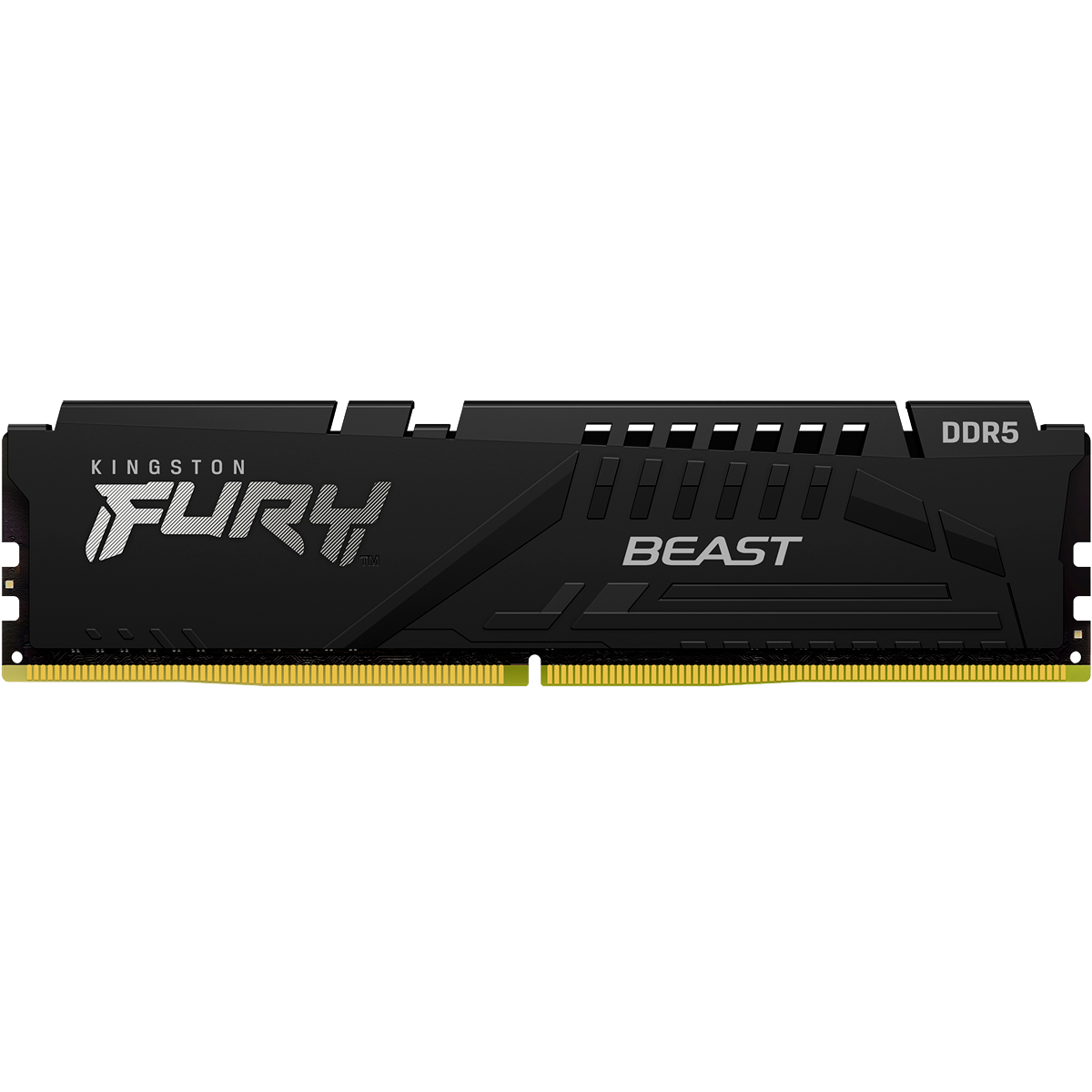 Память оперативная Kingston FURY Beast Black XMP
